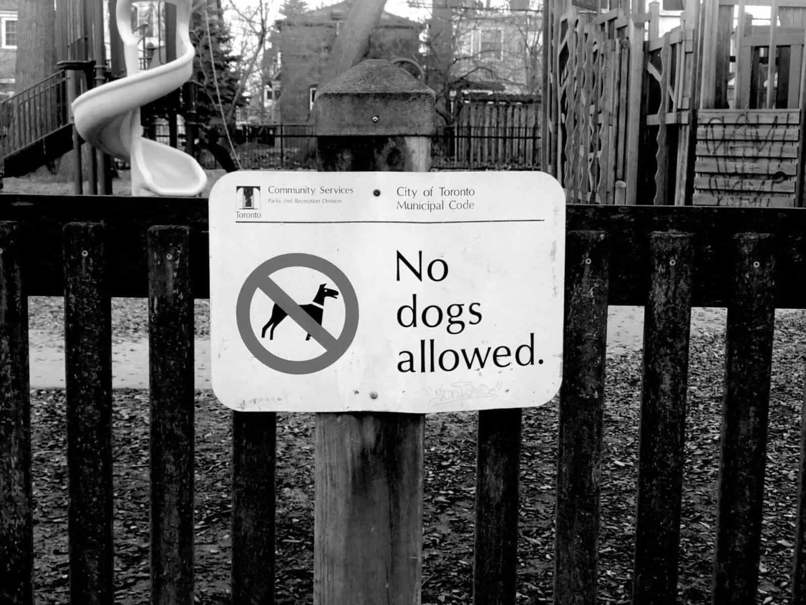 Black and white photo of a sign in Toronto, Canada, that reads "No Dogs Allowed" in front of a playground.