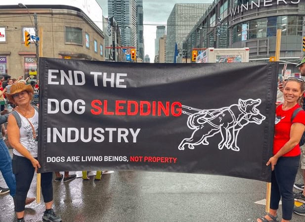 Activists demonstrating against the dog sledding industry, holding signs with messages advocating for animal rights "End The Dog Sledding Industry".