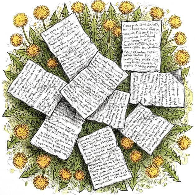 An illustration featuring several scattered, handwritten notes and letters placed in a circle, surrounded by blooming yellow dandelions and green leaves.