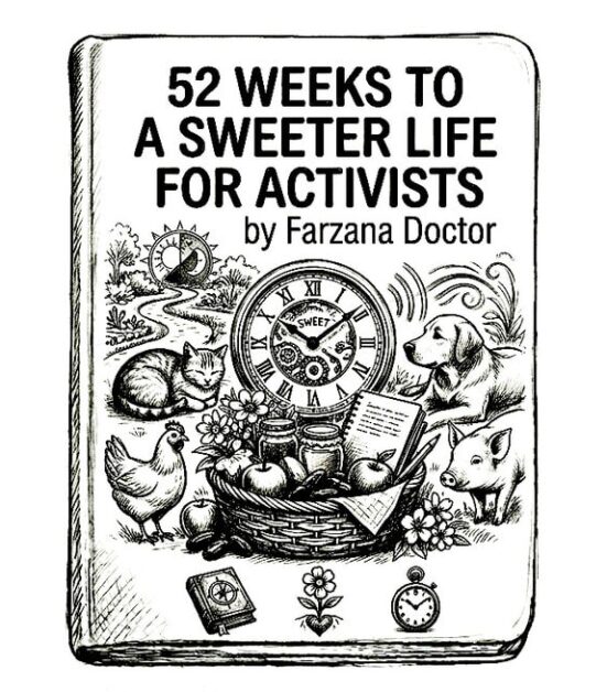 Cover of "52 Weeks to a Sweeter Life for Activists" by Farzana Doctor, featuring inspiring illustrat.