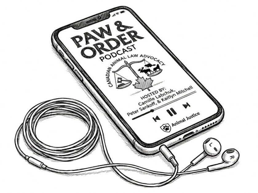 Smartphone displaying the Paw & Order Podcast logo with earphones.